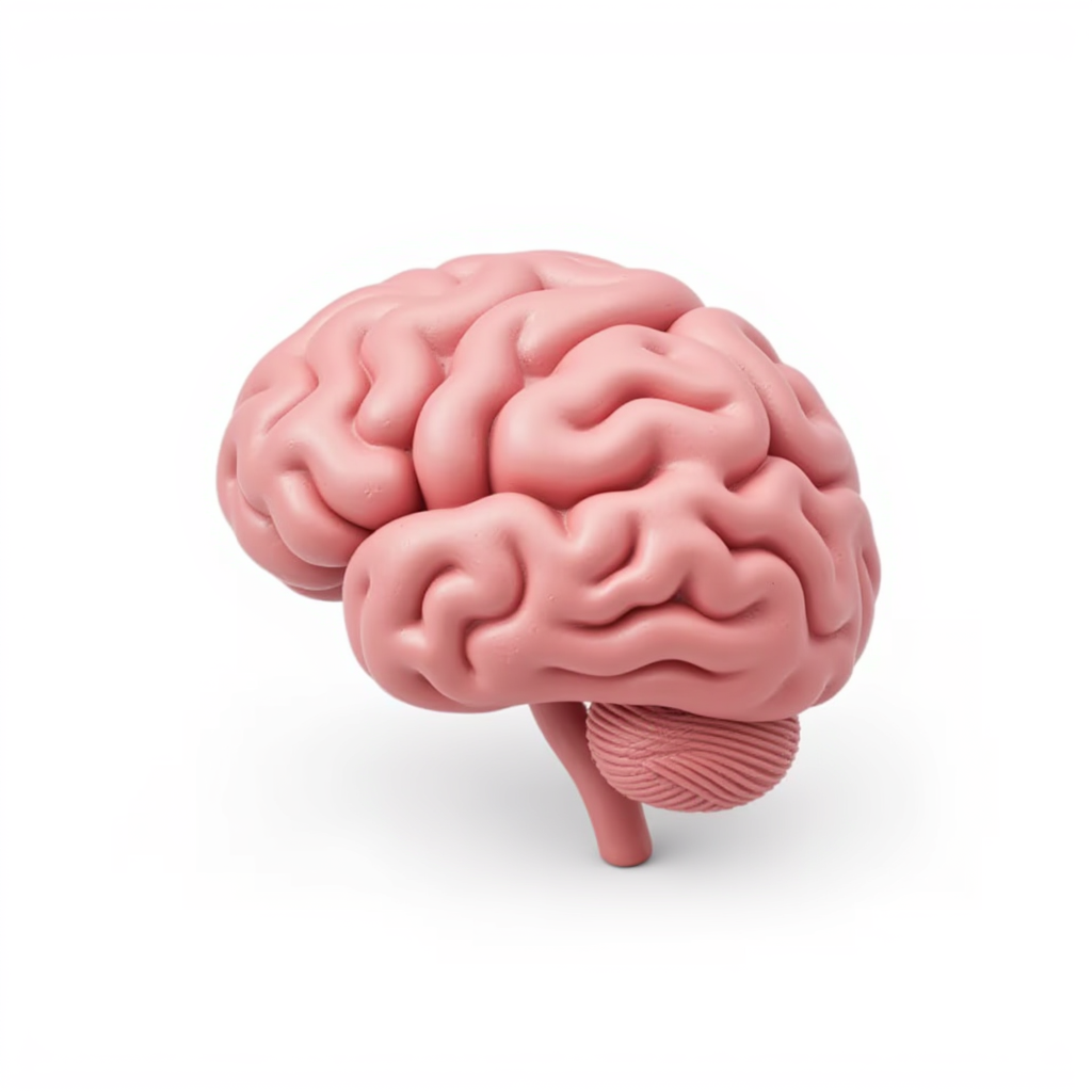 Advanced Reasoning Systems